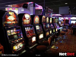 poterrypg - Login no App Cassino